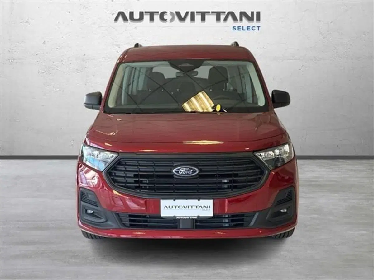Ford Tourneo Connect usata a Como (2)
