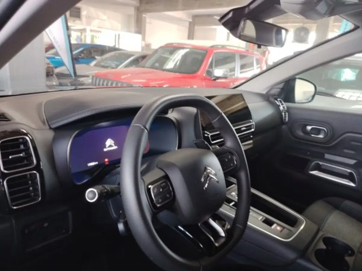 Citroen C5 Aircross usata a Forlì-Cesena (18)