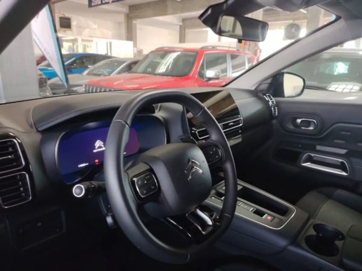 Citroen C5 Aircross usata a Forlì-Cesena (20)