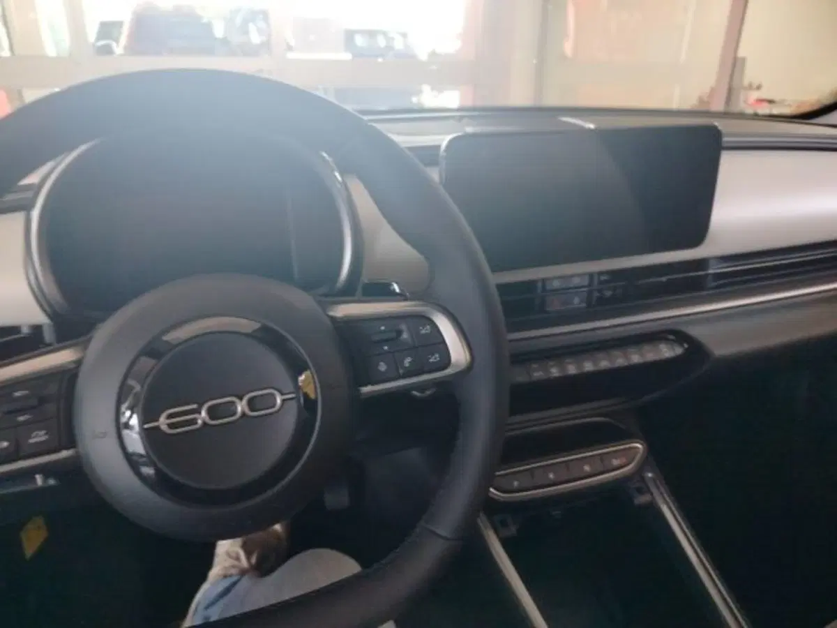 Fiat 600 nuova a Forlì-Cesena (18)