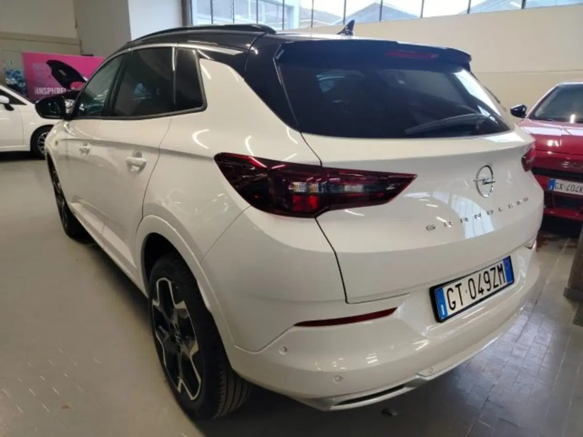 Opel Grandland usata a Forlì-Cesena (12)