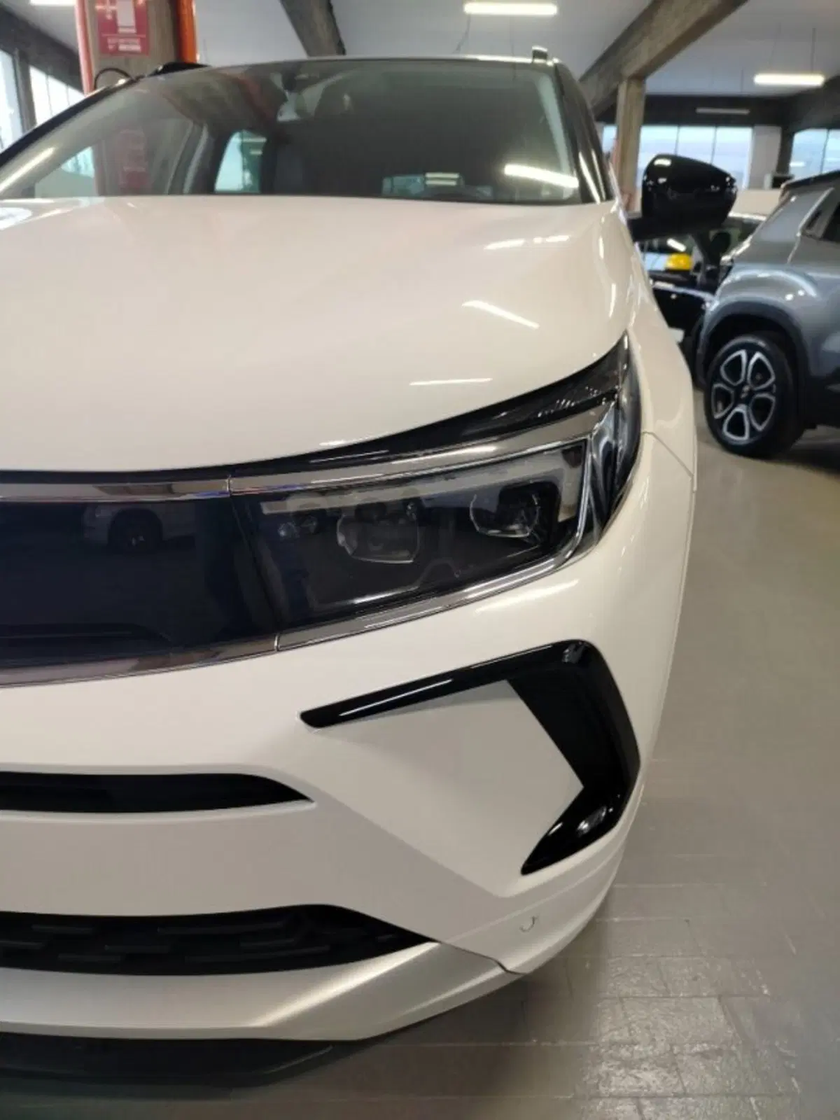 Opel Grandland usata a Forlì-Cesena (15)