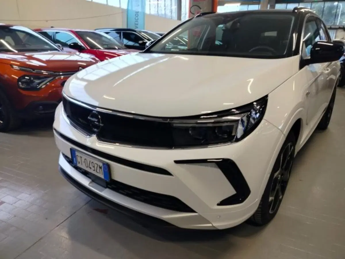 Opel Grandland usata a Forlì-Cesena (2)