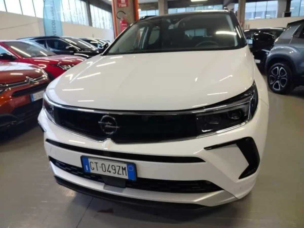 Opel Grandland usata a Forlì-Cesena (3)