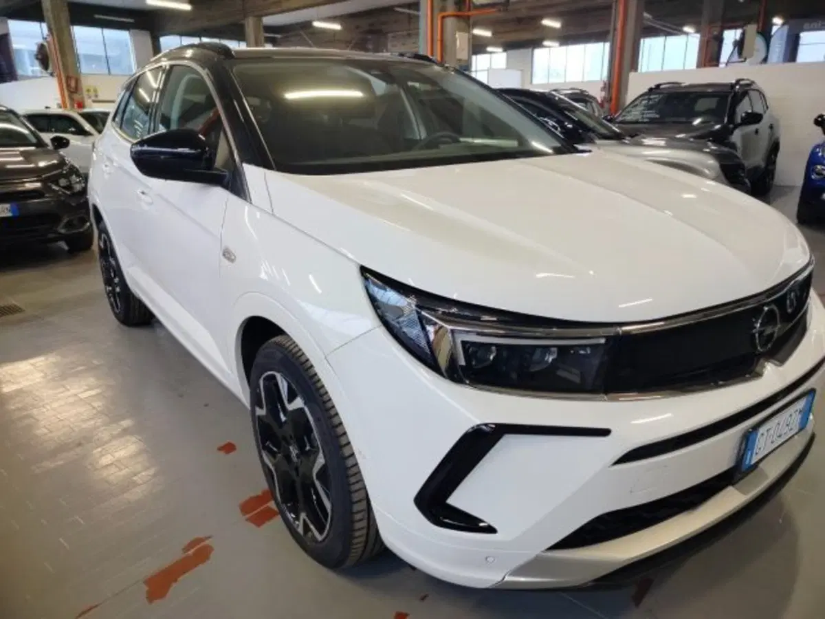 Opel Grandland usata a Forlì-Cesena (5)