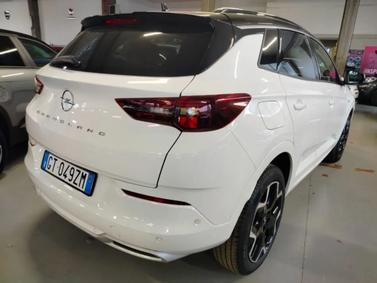 Opel Grandland usata a Forlì-Cesena (8)