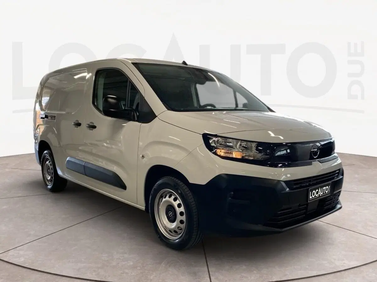 Opel Combo Furgone usata a Torino (3)