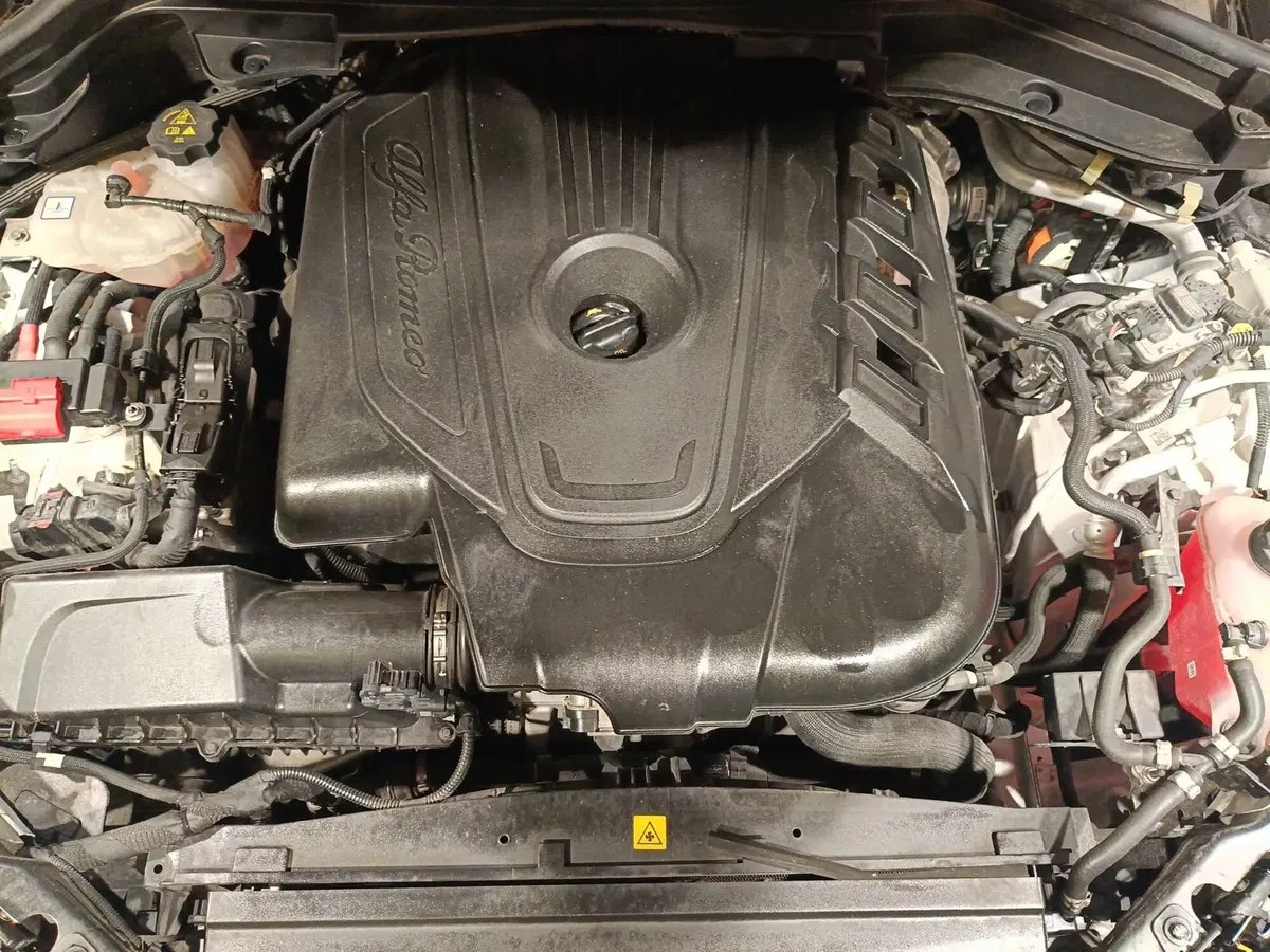 Alfa Romeo Stelvio usata a Ascoli Piceno (10)