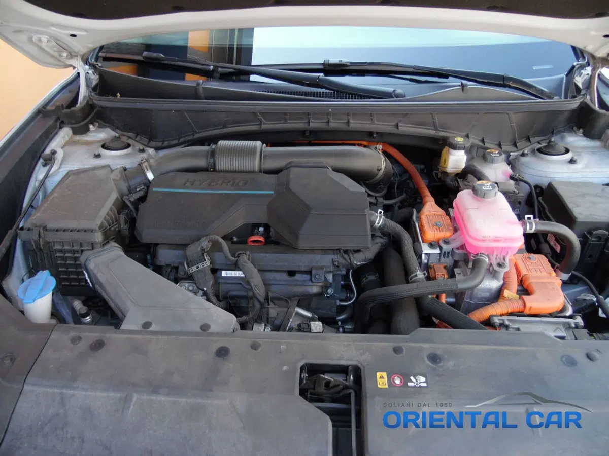 Hyundai Tucson usata a La Spezia (15)