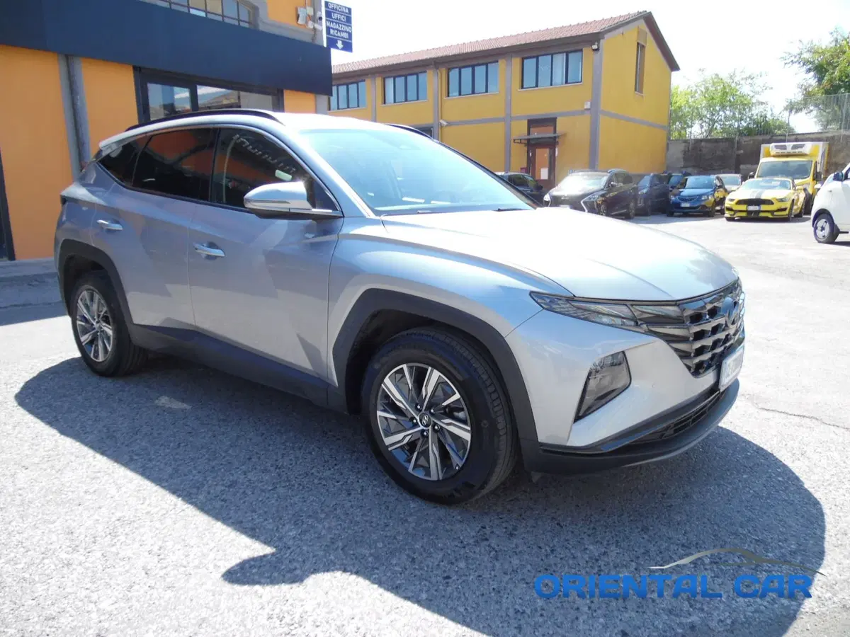 Hyundai Tucson usata a La Spezia (5)