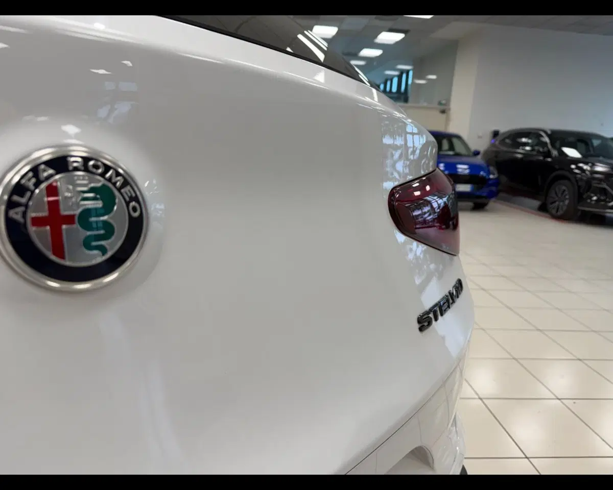 Alfa Romeo Stelvio usata a Treviso (20)