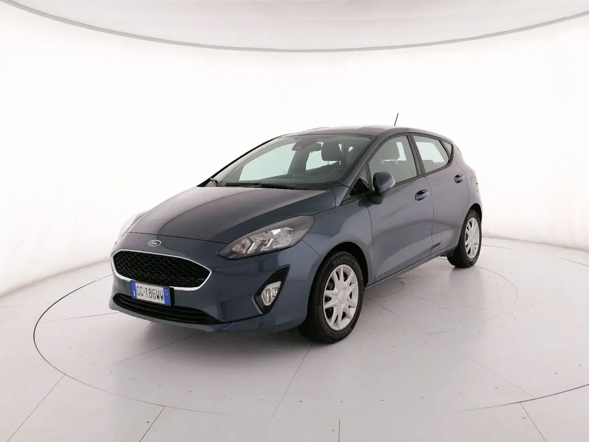 Ford Fiesta usata a Roma