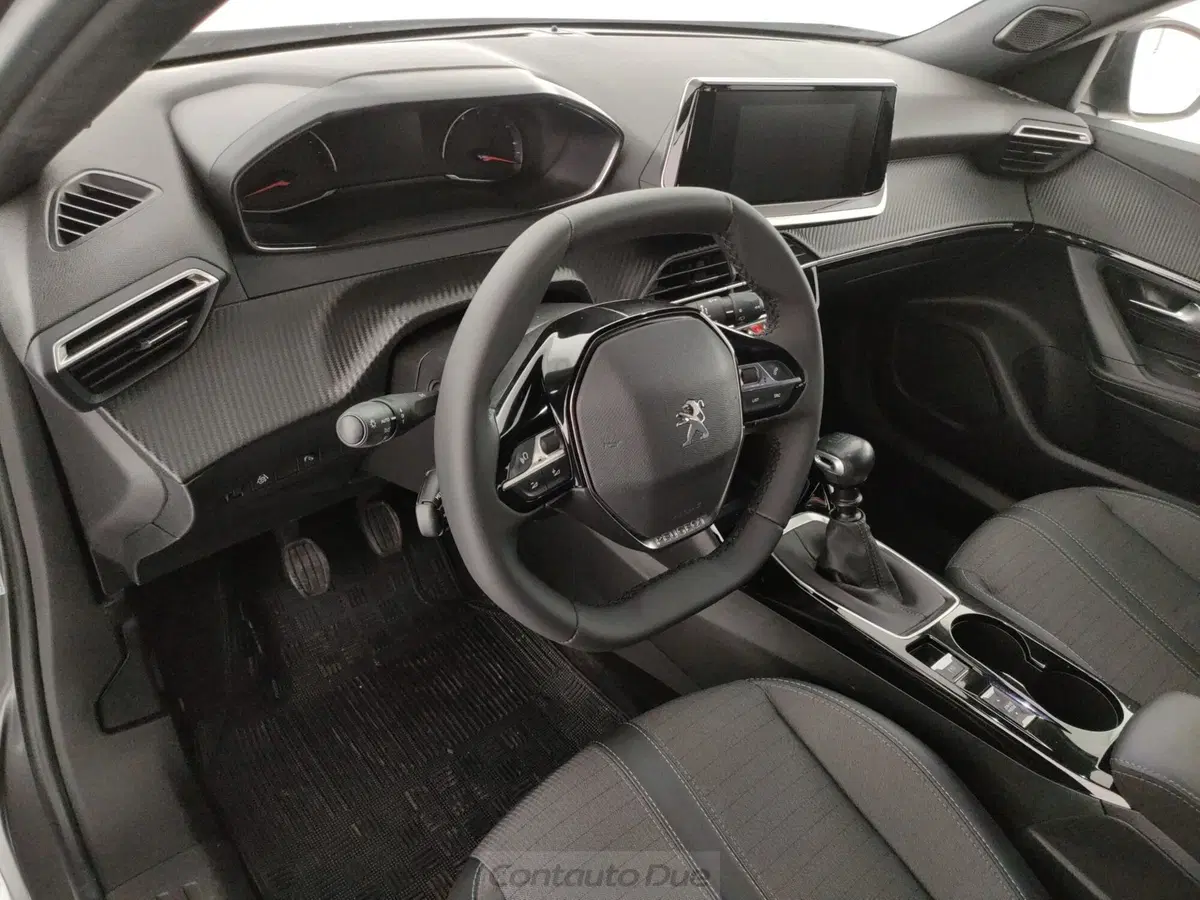 Peugeot 2008 usata a Caserta (11)