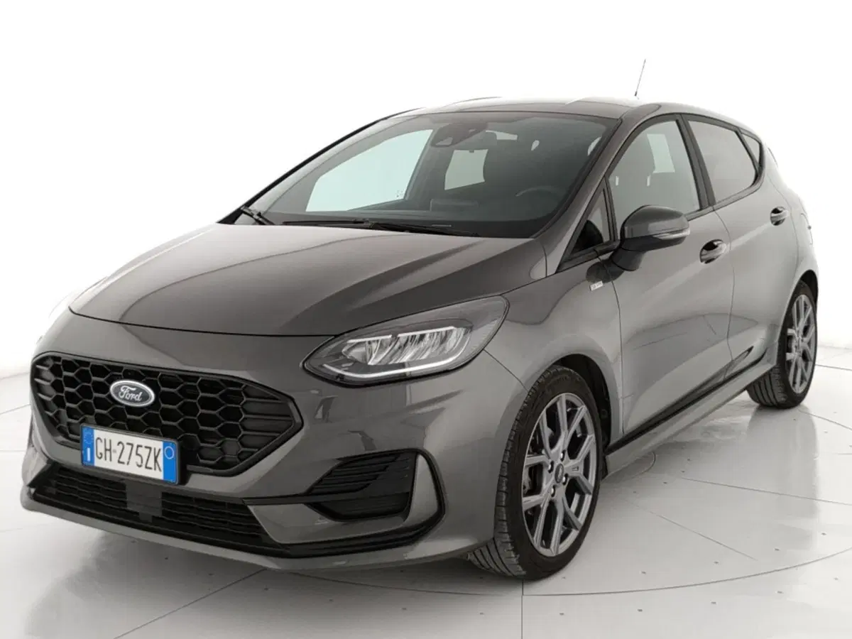 Ford Fiesta usata a Roma