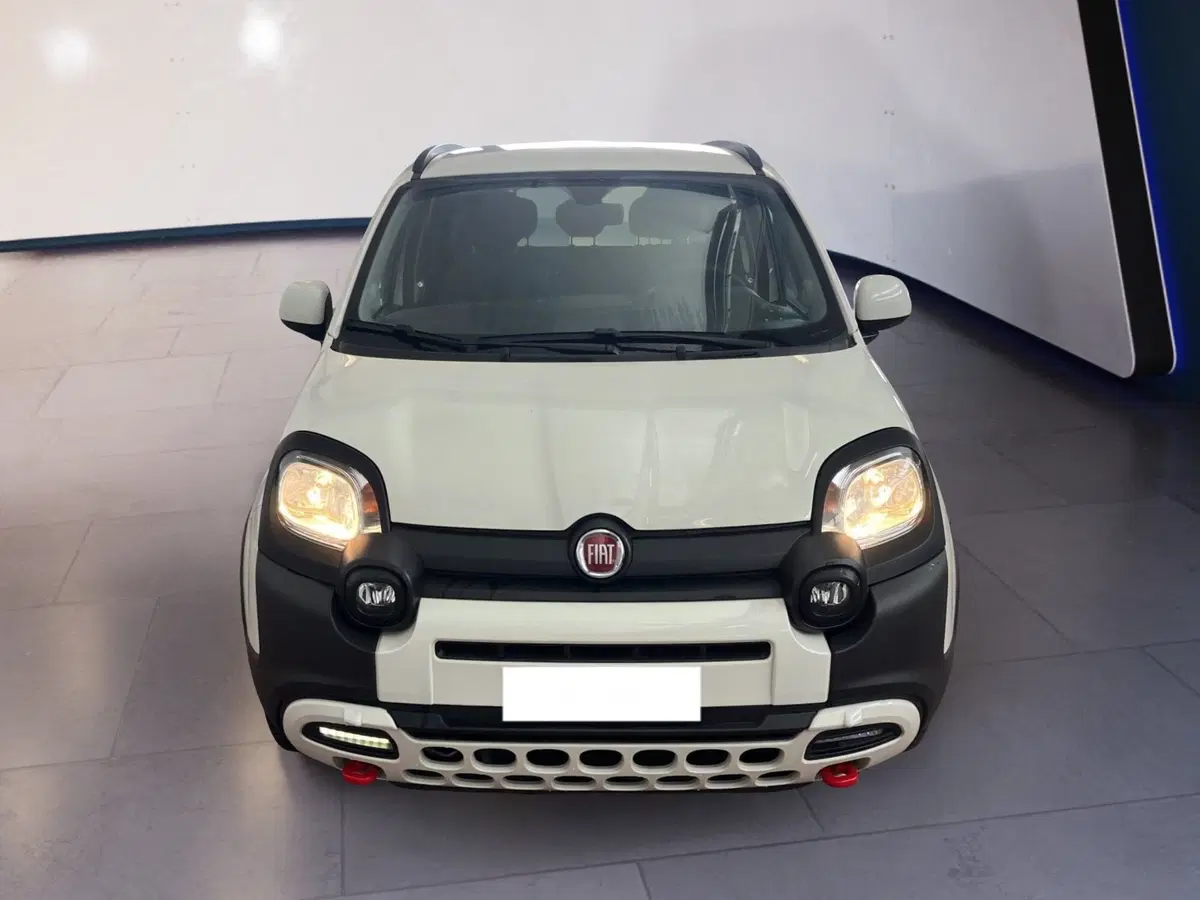 Fiat Panda usata a Torino