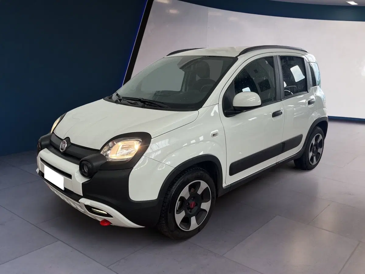 Fiat Panda usata a Torino (2)