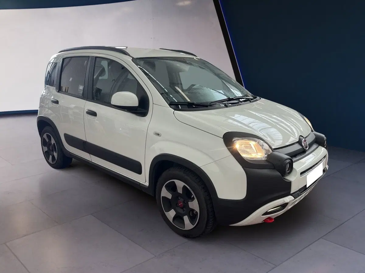 Fiat Panda usata a Torino (3)