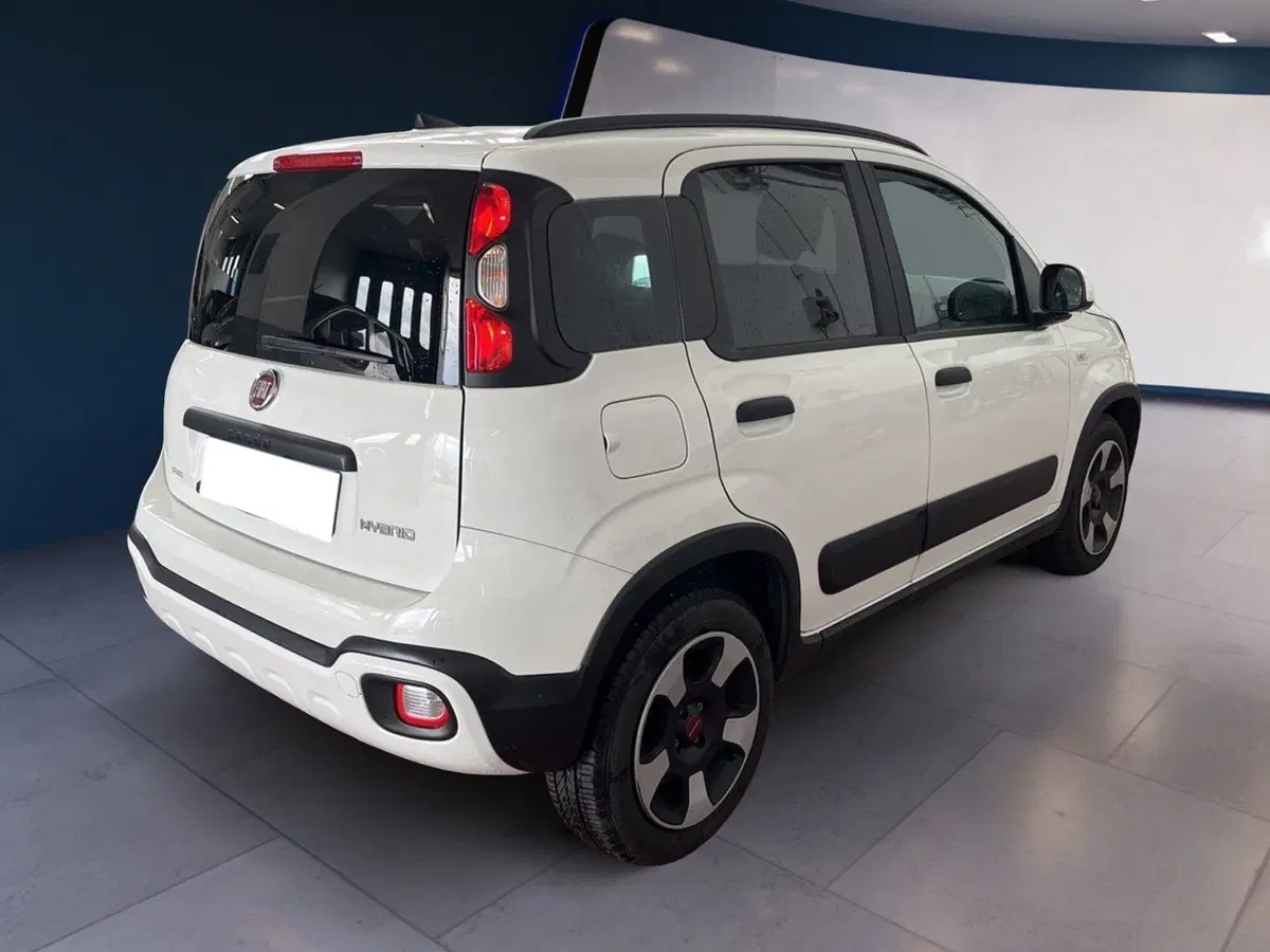 Fiat Panda usata a Torino (4)