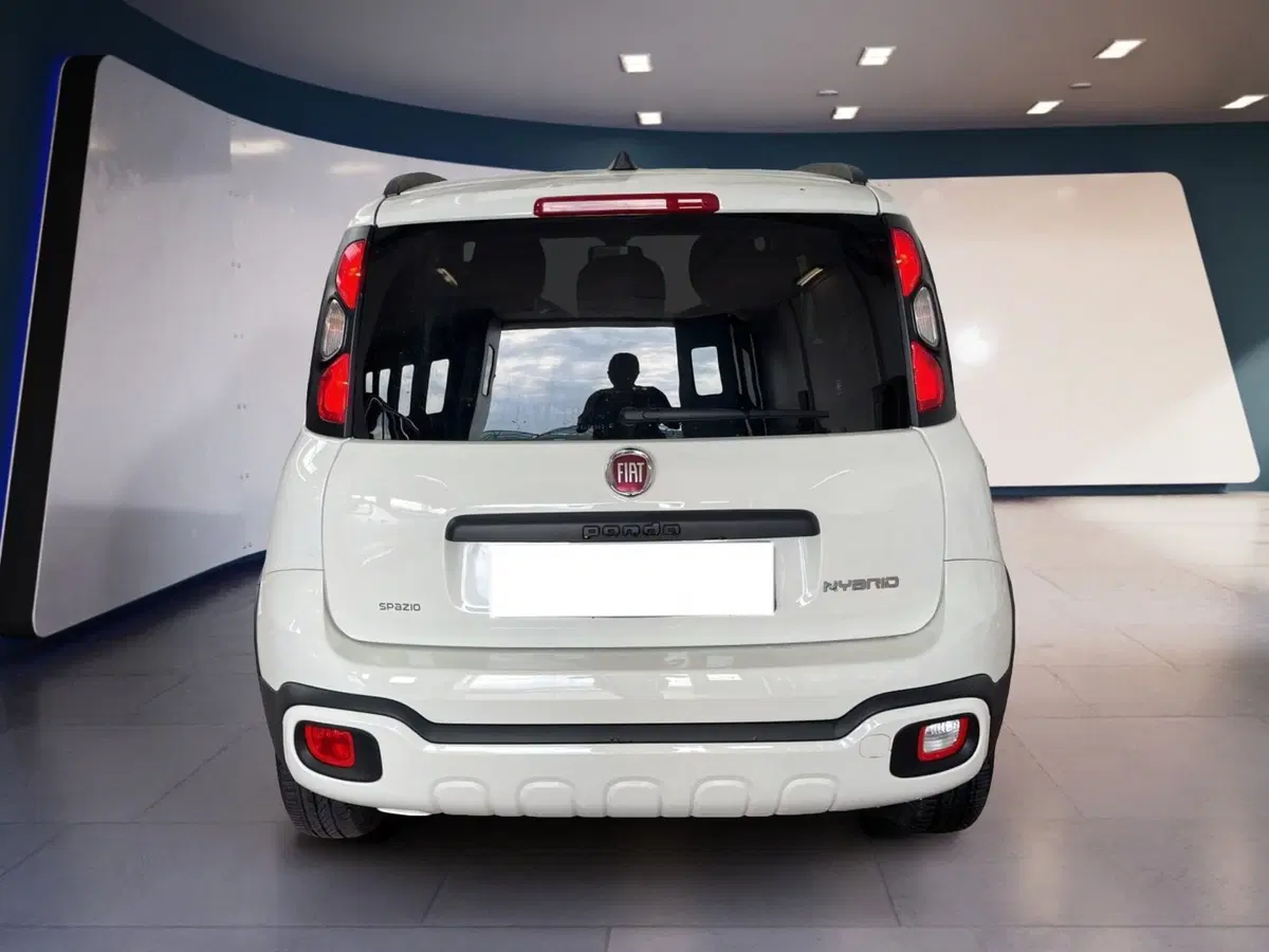 Fiat Panda usata a Torino (5)