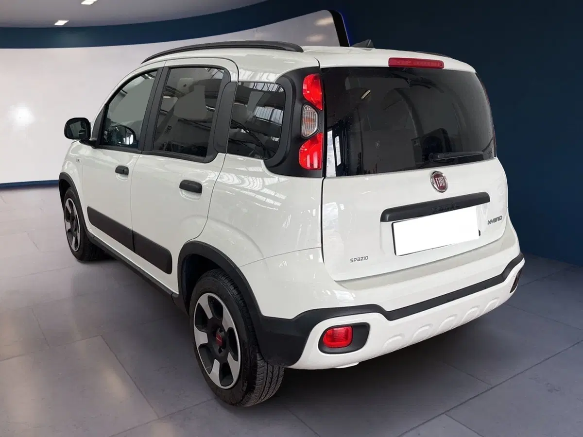 Fiat Panda usata a Torino (6)