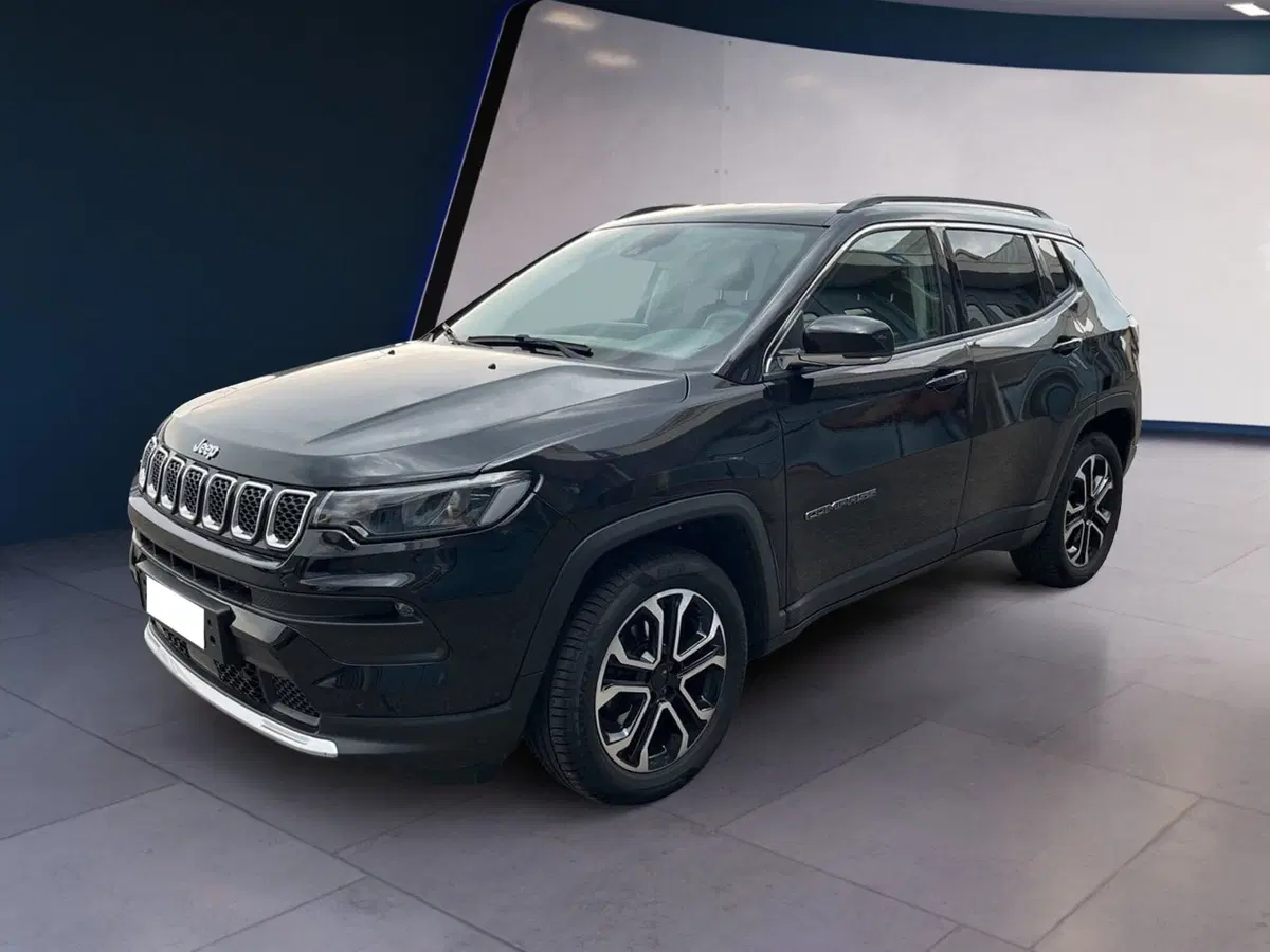 Jeep Compass usata a Torino (2)
