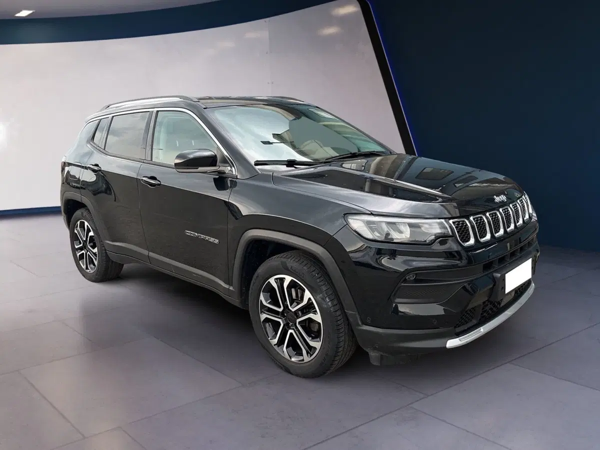 Jeep Compass usata a Torino (3)