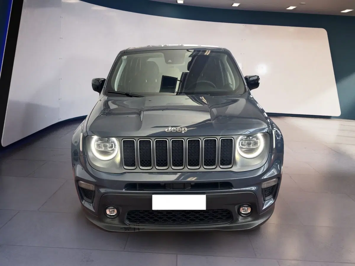 Jeep Renegade usata a Torino