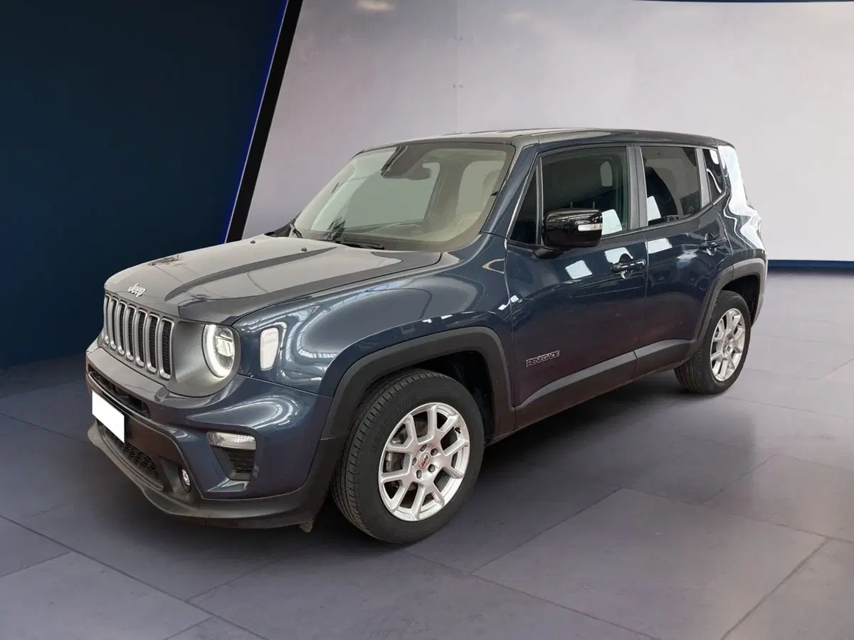 Jeep Renegade usata a Torino (2)