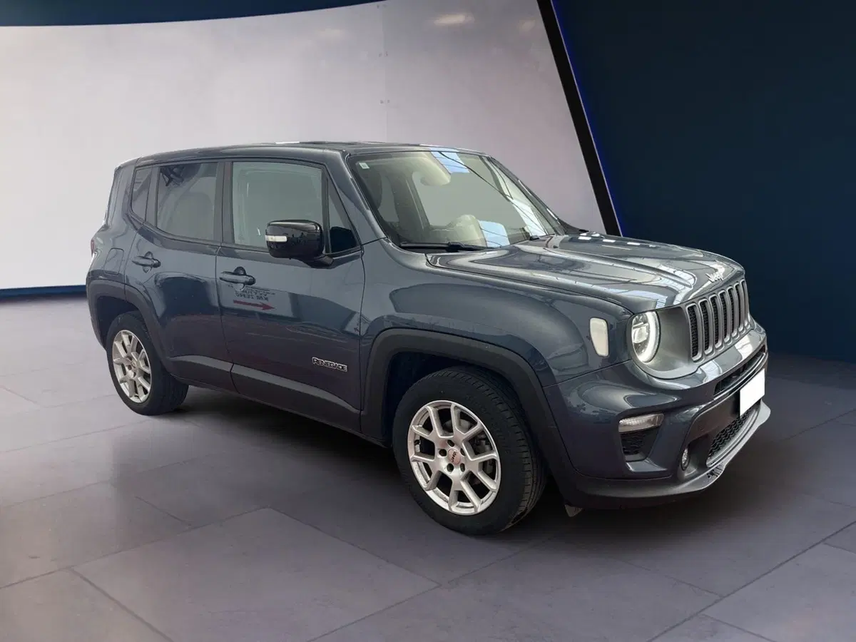 Jeep Renegade usata a Torino (3)