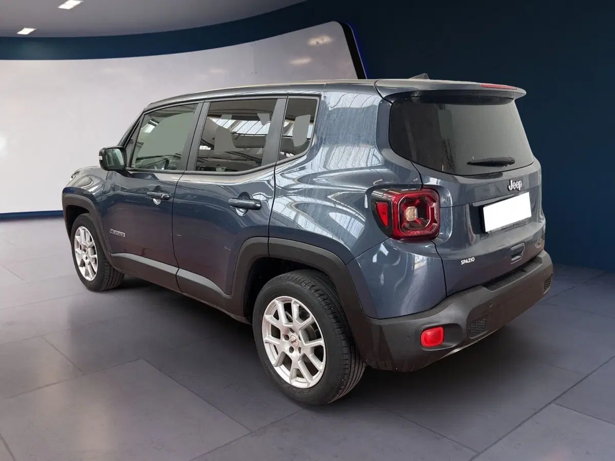 Jeep Renegade usata a Torino (6)