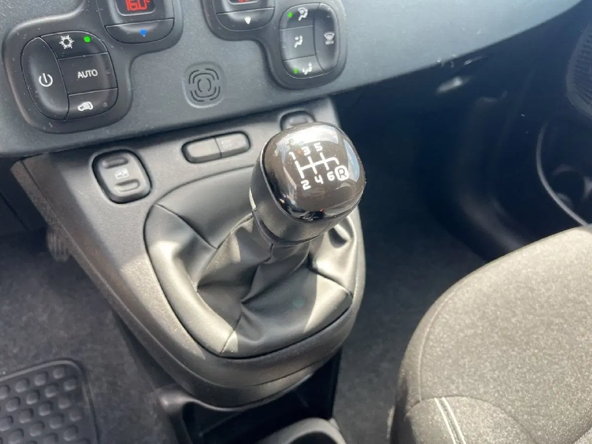 Fiat Panda Cross usata a Torino (12)