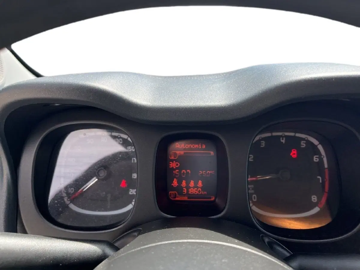 Fiat Panda Cross usata a Torino (14)