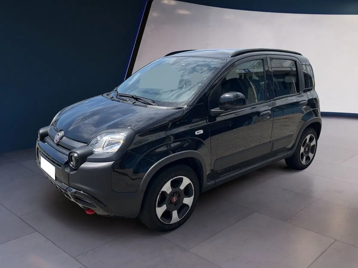 Fiat Panda Cross usata a Torino (2)
