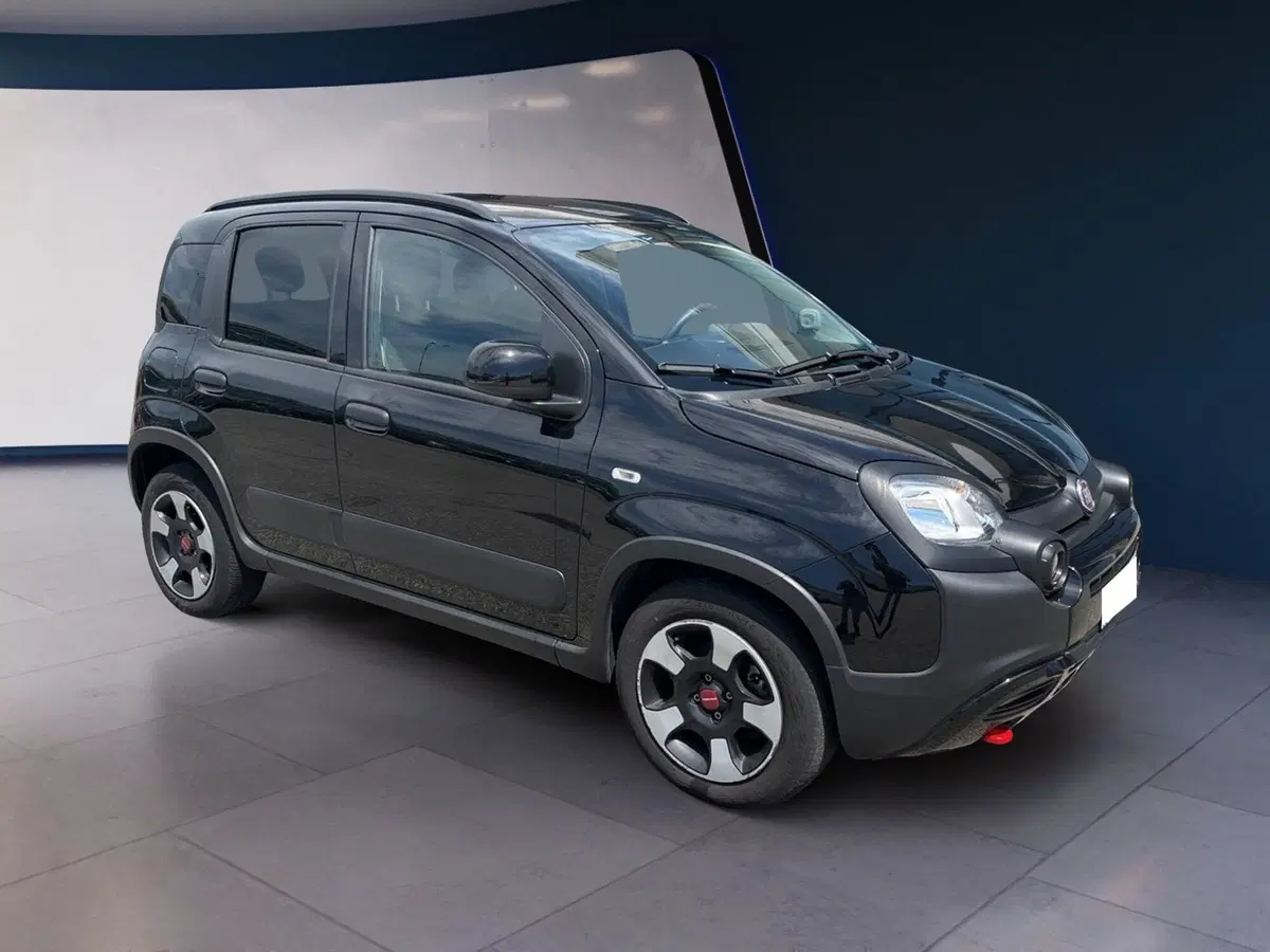 Fiat Panda Cross usata a Torino (3)