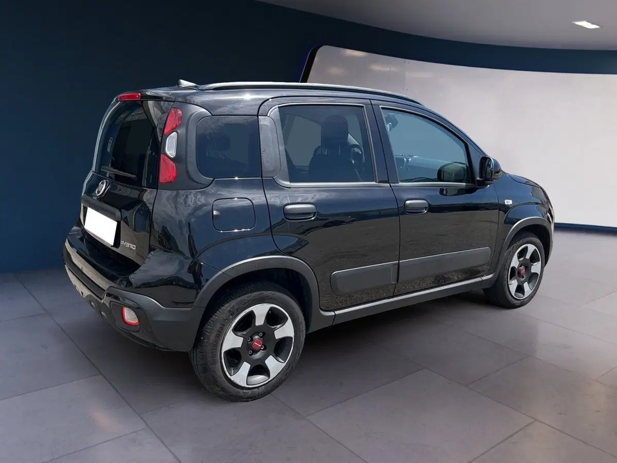 Fiat Panda Cross usata a Torino (4)