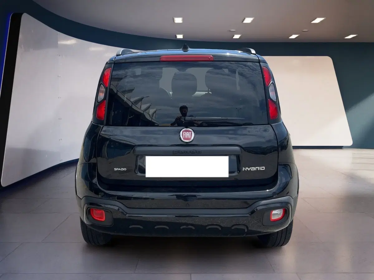 Fiat Panda Cross usata a Torino (5)