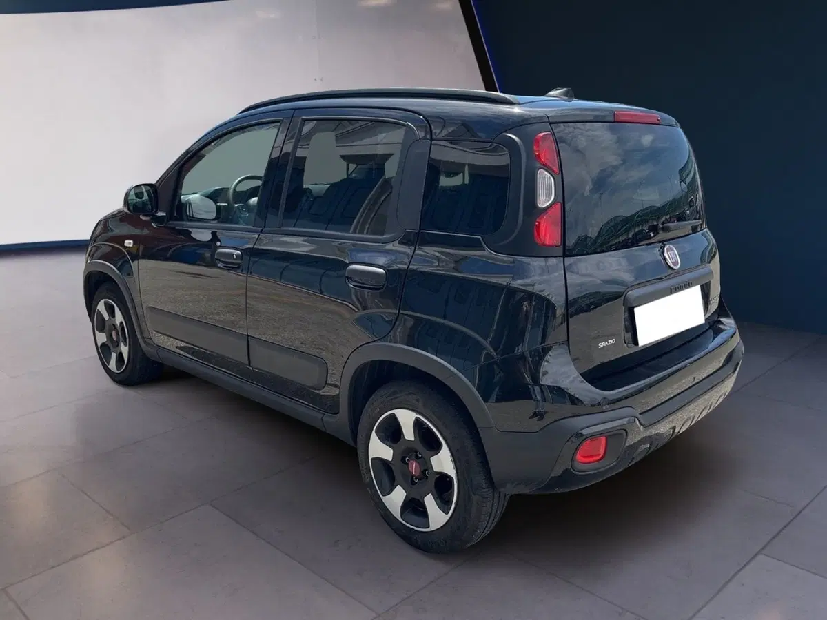 Fiat Panda Cross usata a Torino (6)