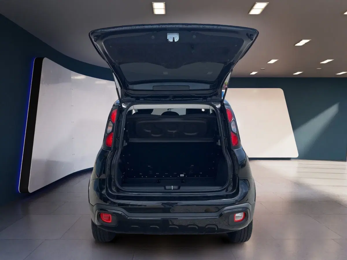 Fiat Panda Cross usata a Torino (7)