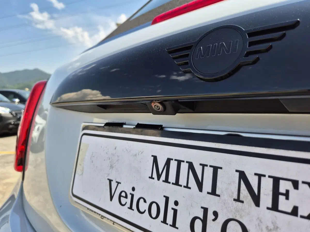 MINI Mini Cabrio usata  (13)