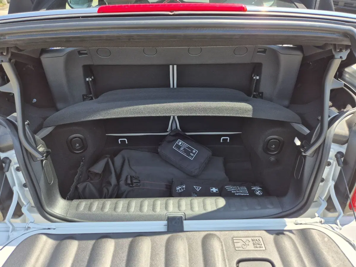 MINI Mini Cabrio usata  (15)