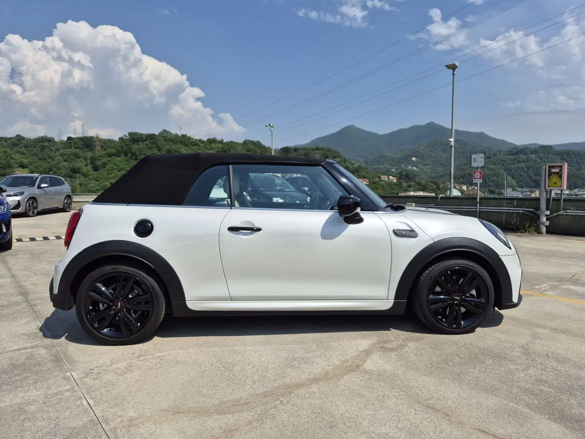 MINI Mini Cabrio usata  (5)