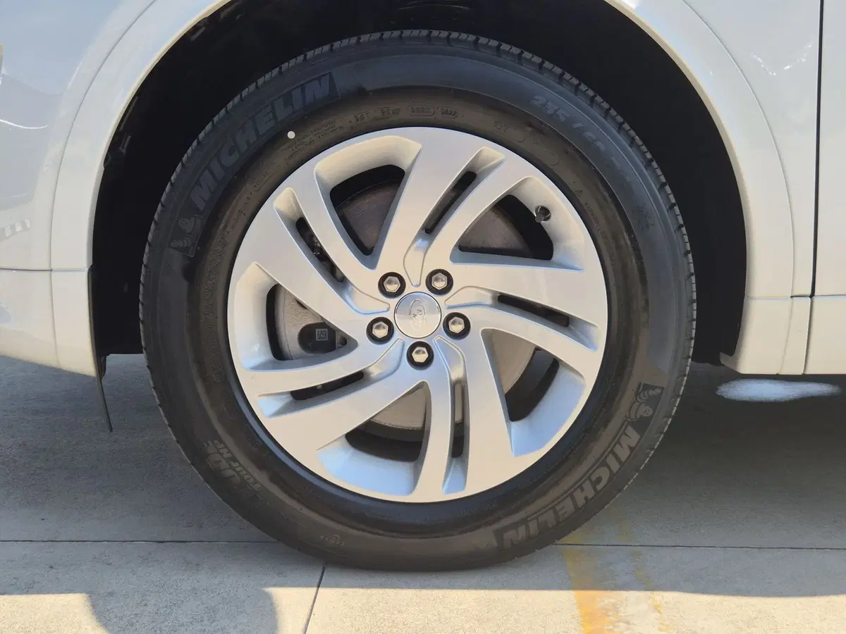 Land Rover Discovery Sport usata  (12)