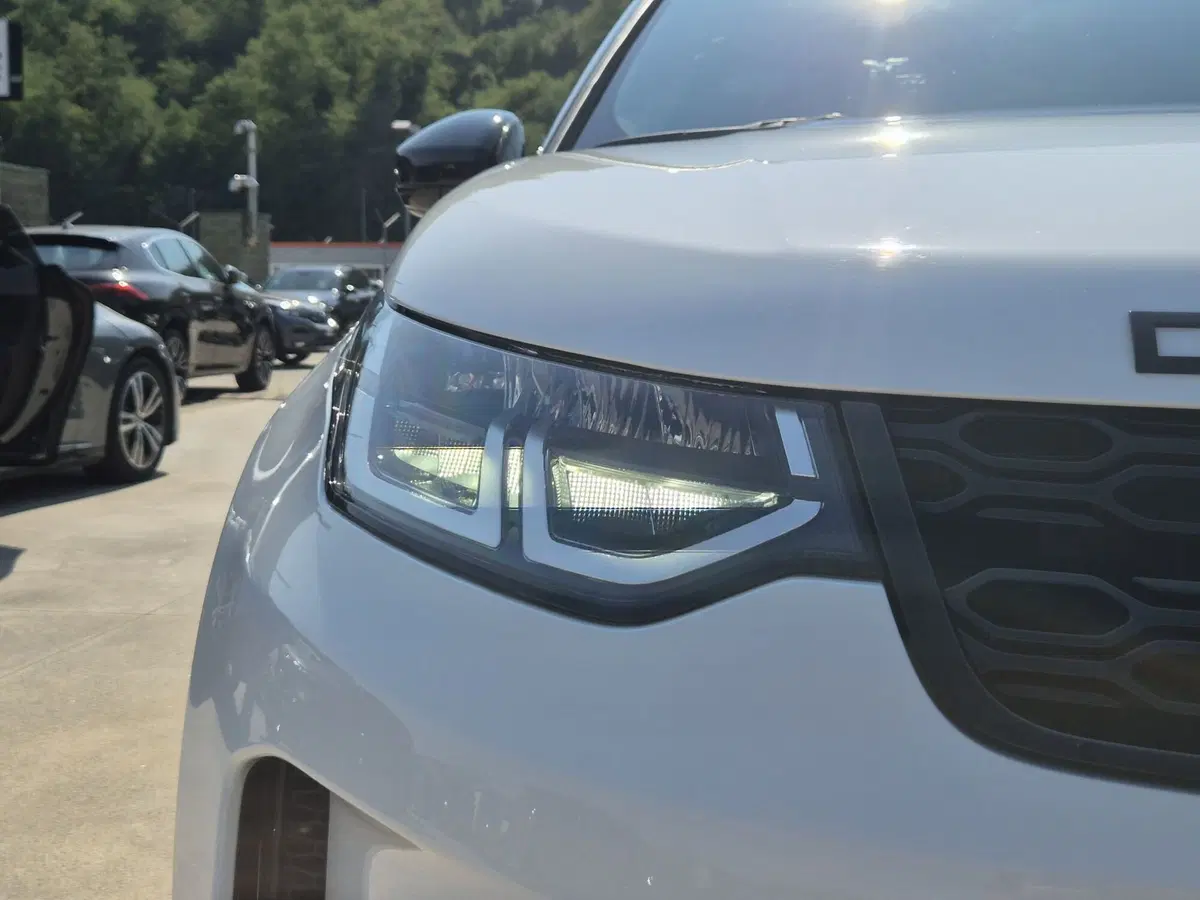 Land Rover Discovery Sport usata  (17)