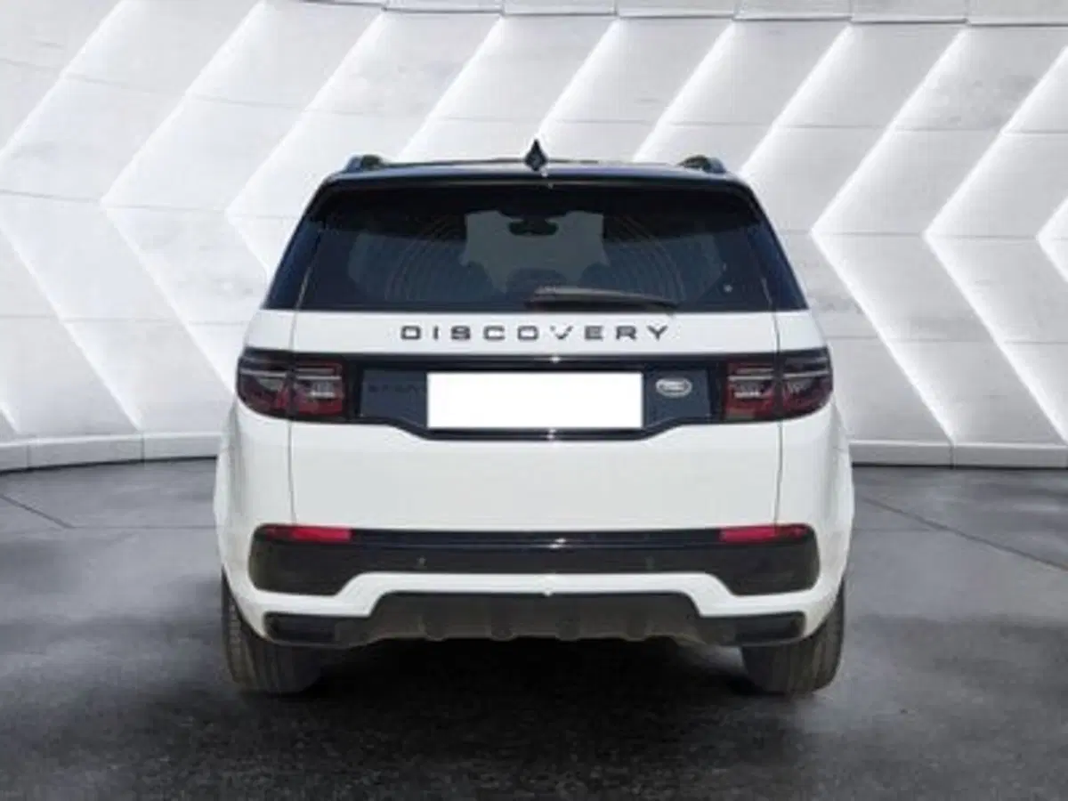 Land Rover Discovery Sport usata  (2)