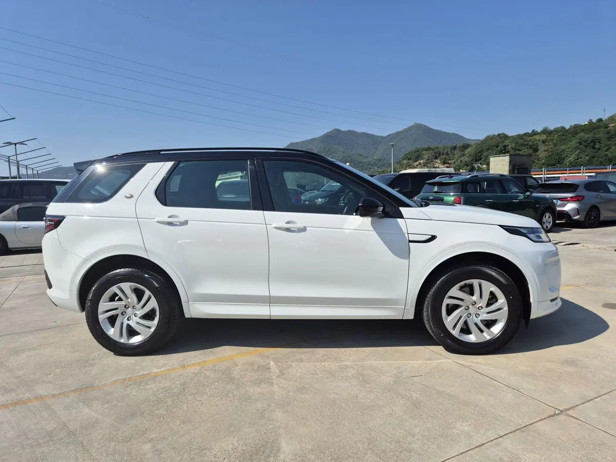 Land Rover Discovery Sport usata  (4)