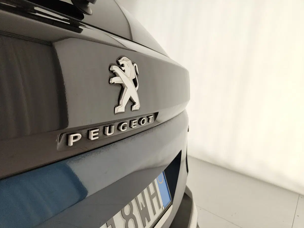 Peugeot 3008 usata a Caserta (10)