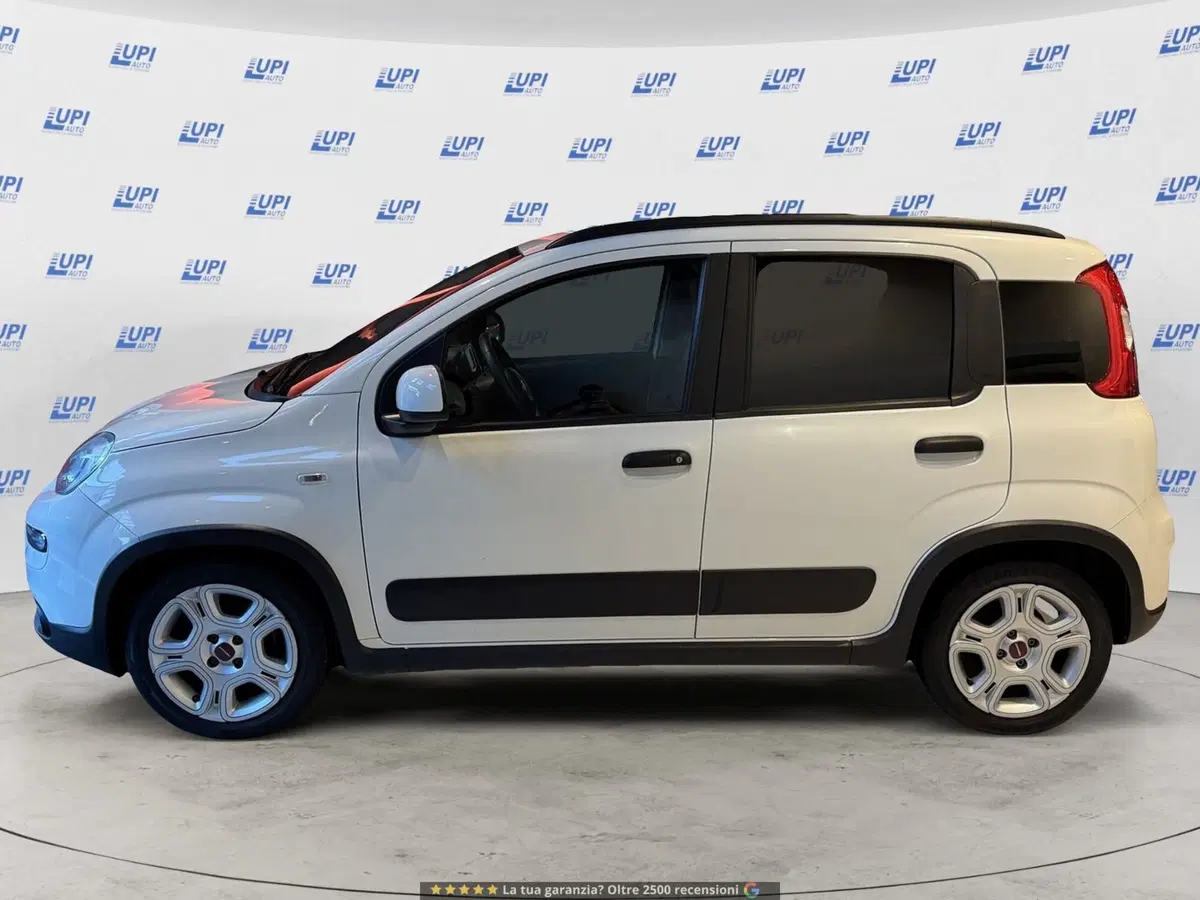 Fiat Panda usata a Lucca (8)