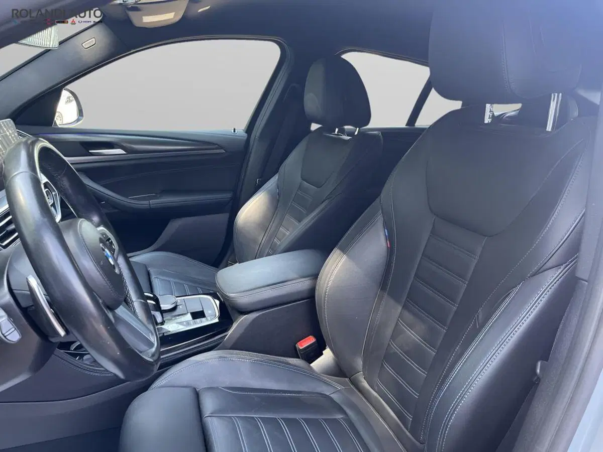 BMW X4 usata a Alessandria (13)