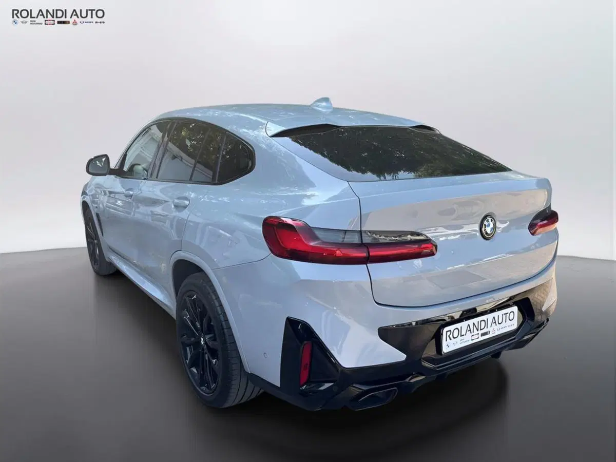 BMW X4 usata a Alessandria (6)