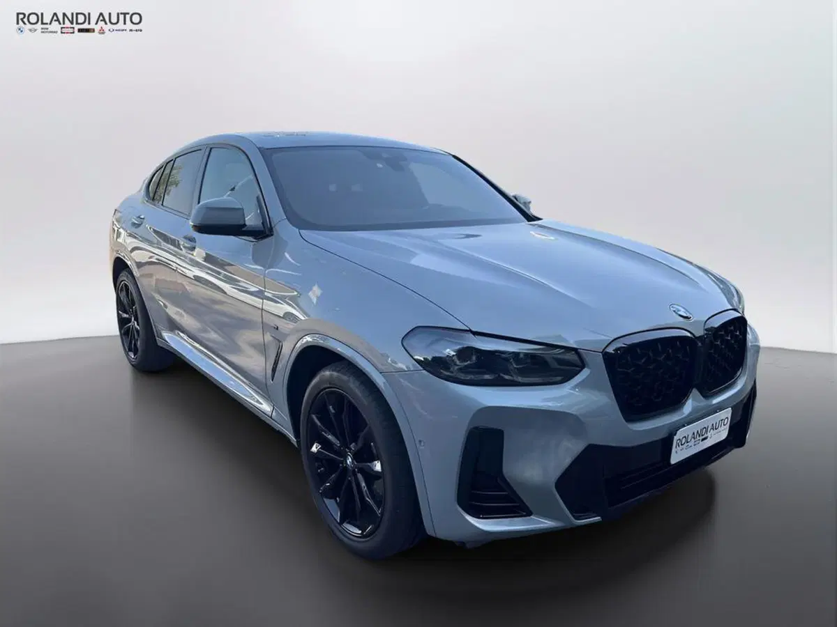 BMW X4 usata a Alessandria (9)